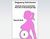 Pregnancy Kick Counter